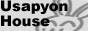 UsapynHouse